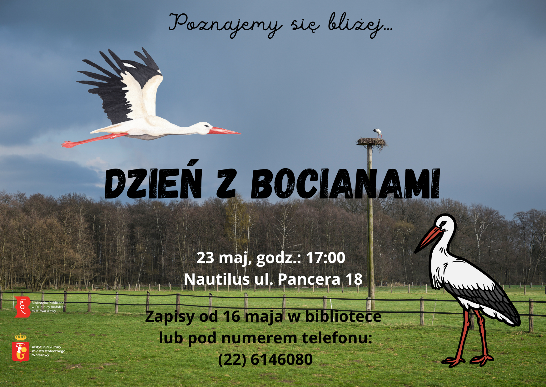 Read more about the article Poznajemy się bliżej. Dzień z bocianami